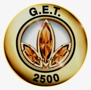 Millionaire Team Pin Herbalife #462956