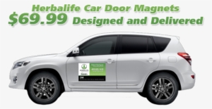 Order While Your Business Cards Are Being Designed - Herbalife Car Magnets #463284