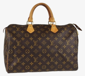 Large Dustbag Designed For Louis Vuitton Handbags - Magic Kingdom #464684