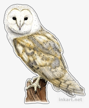 Barn Owl Png File - Barn Owl Throw Blanket #465125