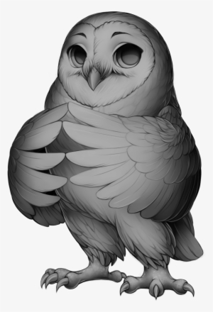 Barn Owl Base - Great Horned Owl Snowy Owl #465177