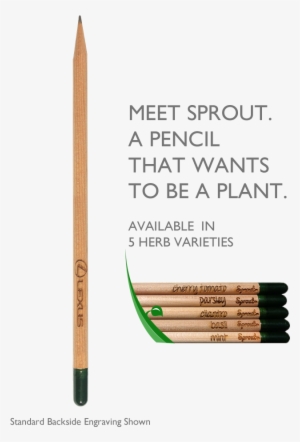 Sprout Pencil Eco Friendly - Eye Liner #465286