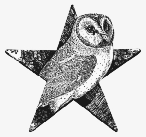 Barn Owl Barnstar - Wood Engraving #465481