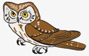 Visit This Site On Barn Owls In The United Kingdom - Science #465547