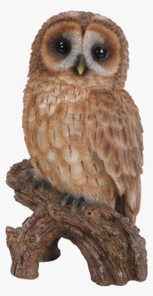 Clipart Free Stock Little Resin Garden Ornament Less - Hi-line Gift Ltd. Tawny Owl On Stump Statue #465766