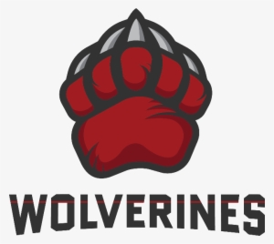 Slater's Blog - Blog #465820