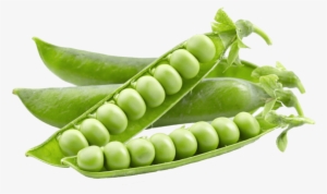 Free Png Pea Png Images Transparent - 豌豆 Png #465839