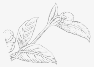 Mommy & Me & Tea - Sketch #465942