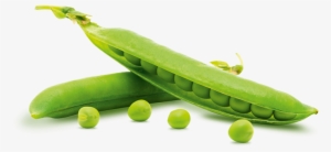 Pea Png - Pea Transparent #465962