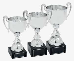 Trophy #466098 Trophy #466098