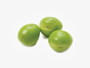 Organic Pea Protein Powder - 100% Certified Organic Pea Protein Powder #466152