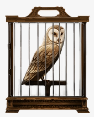 Photo - Owl In Cage Png #466231