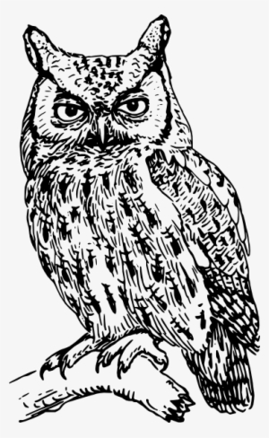 Great Grey Owl Clipart Hard - Owl Clipart Black And White #466411