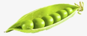 Sweet Peas Vegetables Png #466450