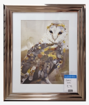 Barn Owl Barn Owl #466896