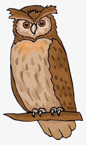 Vector Owl Barn - Clipart Of Owl #466938