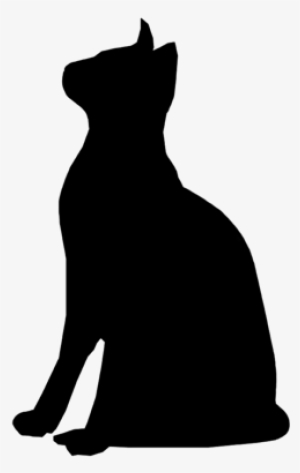 Closed All Public Bank Holidays Barn Owls Attentive - Barn Owl #467052