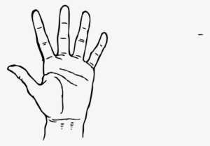 Clip Art Finger - Fingers Name In Hindi #467726