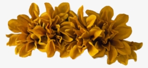 Tumblr Static Flower - Flower Crown Orange Png #468258