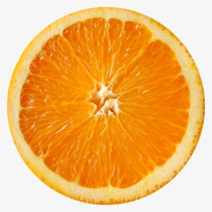 Media Naranja - Sliced Orange #468483