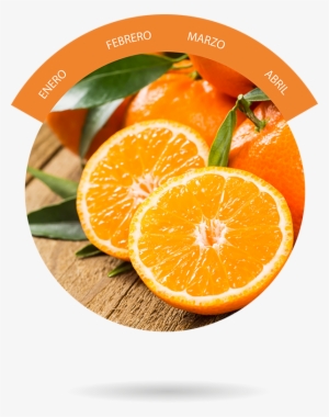 Naranja - みかんの皮パウダー (陳皮パウダー) 100g みかん/皮/陳皮/パウダー/粉末/花粉 【メール便】 #468720 Naranja - みかんの皮パウダー (陳皮パウダー) 100g みかん/皮/陳皮/パウダー/粉末/花粉 【メール便】 #468720