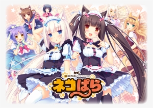 Anime Neko Girls Group #468781