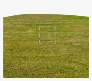 Grass On Hill - Grass #468850