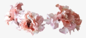 Tumblr Transparent Flower Crown Download - Flower Crown Meme #468929