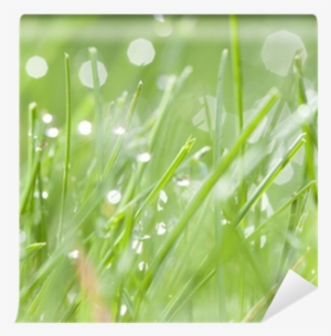 Go To Image - Water #469160