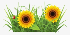 Sunflowr With Grass Png Background - Sun Flowers And Grass Png #469275