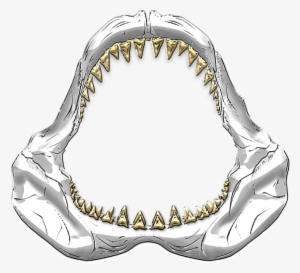 Shark Drawing Jaws - Great White Shark Jaws Drawing #469624