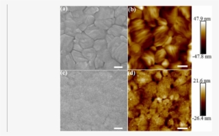 Sem And Afm Topology Of Bare Perovskite Film And Cdse/ - Perovskite Afm #4602874