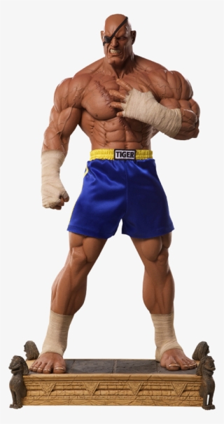 Clipart Freeuse Download Sagat Akuma Ken Masters Street - Sagat Stance #4605103