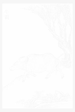 File - Imperial Encyclopaedia - Animal Kingdom - Pic225 - Sketch #4605244