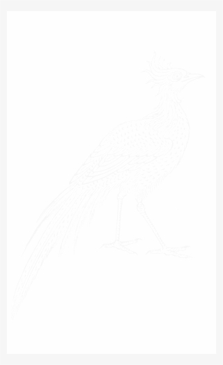 File - Imperial Encyclopaedia - Animal Kingdom - Pic116 - Encyclopedia #4605955