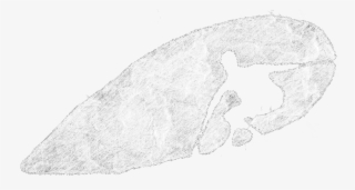 Christiansurfers Competitors, Revenue And Employees - Shadow #4606917