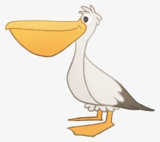 About Us - Duck #4608174