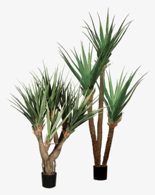 Amazing Green Inc - Amazing Green, Inc. #4609808