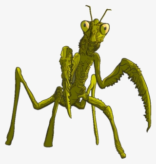 Goosebumps Keyboard - Goosebumps Transparent #4610335