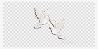 2 Doves Flying Drawing Clipart Pigeons And Doves Drawing - Clip Art #4610535 2 Doves Flying Drawing Clipart Pigeons And Doves Drawing - Clip Art #4610535