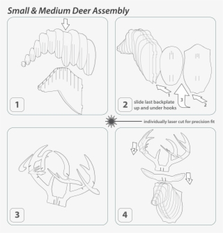 Buck Birch Wood U - Cardboard #4611454
