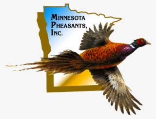 Get In Touch - Minnesota #4612516