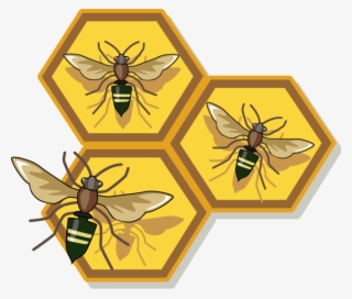 Honeycomb - Honey Bee Free Clip Art #4612823