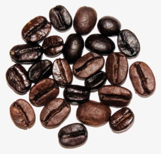 The Cultured Cup® - Holiday #4612881