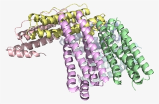 4ztt 1eum 4xgs 4reu - Chain #4613683