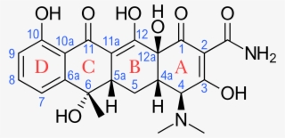 Bactroban Buy Online - Tetracycline Structure With Numbering #4615226