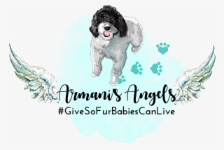 Armani's Angels #4615558