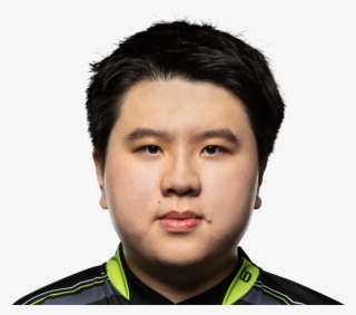 Gate Echo Fox #4616949