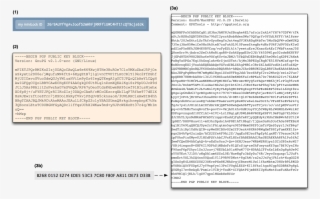 Three Public Keys Offering Roughly The Same Security - Pgp Public Key Format #4617435