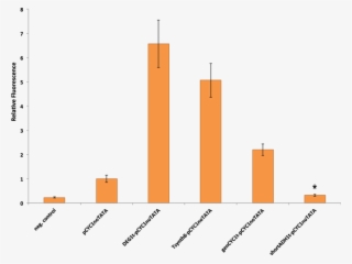 Characterization Of Synthetic Promoters Made Of A Terminator - Common Fig #4618939
